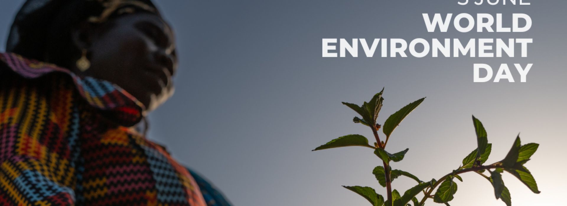 World Environment Day 2024 is June 5